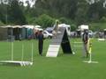 videos de Whangarei Intermediate