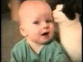 Funny Cats