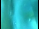 So Much Closer Than Strawberries trailer