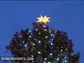 The Vaticans Christmas tree is lit