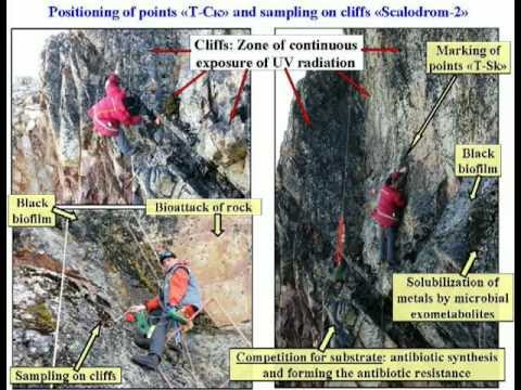 how to isolate extremophiles