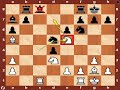 World Chess Championship 2010: Anand vs. Topalov - Game 2