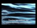 Zot Movie Festival 2008, la bande annonce.wmv Zot Movie Festival 2008, la bande annonce.wmv