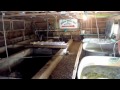 Horning's Mills Trout Hatchery part 2