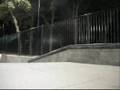 videos de e_vill skatin