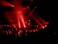 videos de lorie a forest national