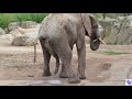 Zoo Duisburg (in HD)