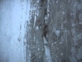 Kid Gets Owned By Kid On Sled