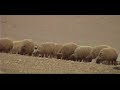 Israel Colina - Oasis