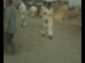 KARACHI COW MANDI 2009