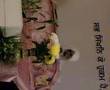 Sant Sewa Singh Katha (part1)