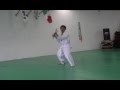 GUARDIANES bo extrem.wmv