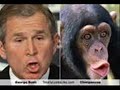 Bush is STUPID