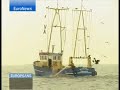 EuroNews IT Europeans La Costituzione europea EuroNews IT Europeans La Costituzione europea