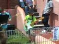 videos de Bodhi's 1st GIG with Rockalicious