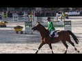 Dynamite Van't Hazelarenhoekje