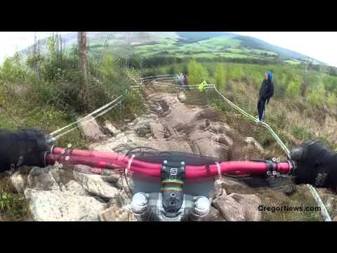 chain reaction cycles