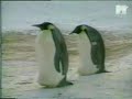Pues bien a qie les traigo el famoso video cuyo tema es el legendario oxygene 4 como ya sabran en youtube existe el video de oxigene 4 con jean michel jarre tambien una version de los pinguinos de carton pero me puse a buscar en youtube este video y no lo encontre por suerte lo tenia guardado y hoy lo subo por que es un video que todos devemos de ver ojala que les guste este video con el temas del maestro JARRE, OXYGENE 4