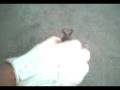 videos de 081202_084534.3gp