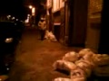 MOV00474.wmv