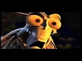 Brave Bugs