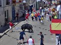 TOROS EN POZO DE ALMOGUERA TOROS EN POZO DE ALMOGUERA