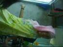 marimar-gma7