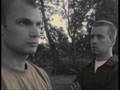 Antylogika-Rok