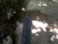 Landahl Down View 2