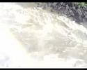 igwasu brazil 3