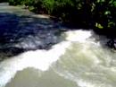 River-surfing? River-surfing?