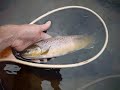 Fly-Fishing in Missoula, Montana