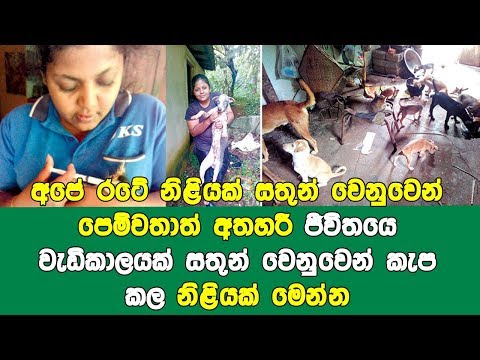 Ape-රටේ නිළියක් සතුන් වෙනුවෙන් පෙම්වතාත් අතහරී-බැංකු ගිණුම් වල රූ 500ක් වත් නෑ