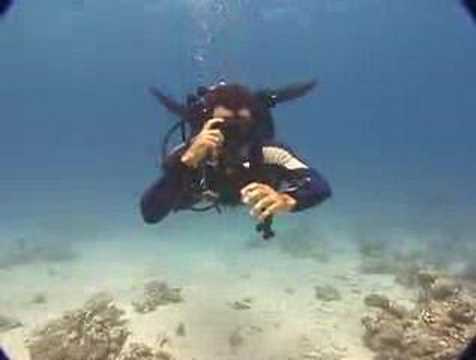 See video