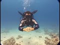 Mask Removal and Replacement - Scuba