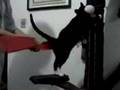 あんまん動画2