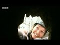 bbc: jungle   the private life of hornbills
