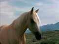 Music Video to the film 