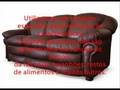 LIMPEZA DE ESTOFADOS