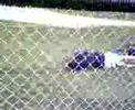kid falls on fence
