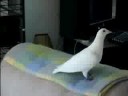 Hope and Pidge going upstairs Hope and Pidge going upstairs