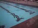 backflip into pool