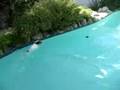 videos de Fetching Porkie