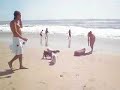 Gizmo (1 yr 5 mo) and Ollie (11 mo) at the dog beach