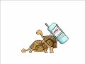 Tortue sexuelle
