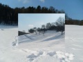 Micki in Snow Micki im Schnee Micki in Neige Micki in Neve Micki in Nival ...