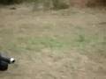 brincando de cart