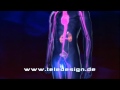 DB 085 Testosteron Stimulatoren PAL 16:9 / DB 085 GnRH stimulation PAL 16:9