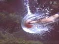The wonders under super slow motion ?
