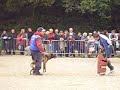 debourage du chien